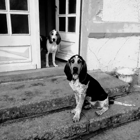 B&B L'ancienne Ecole Geay (Deux-Sevres)