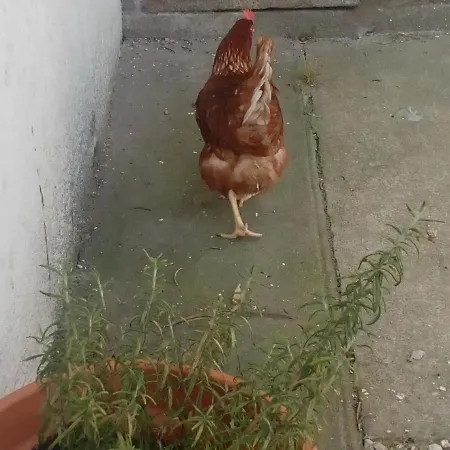 L'ancienne Ecole B&B Geay (Deux-Sevres)
